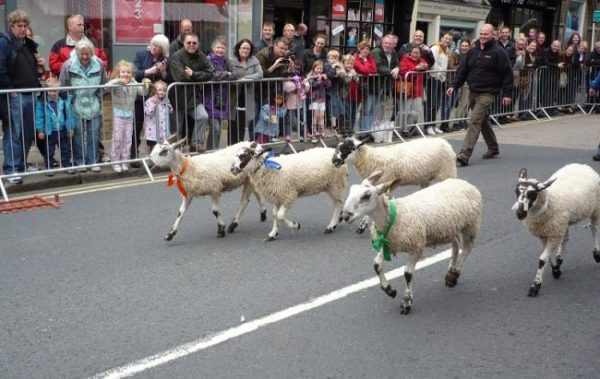 Skipton Sheep Day — 7 July in Yorkshire