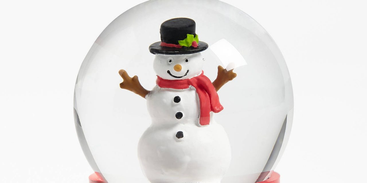 Day 6 of 12 Days of Christmas Gift Ideas — snowglobe
