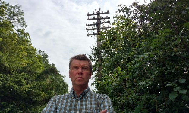 Telegraph Pole Appreciation Society — Martin Evans — North Wales