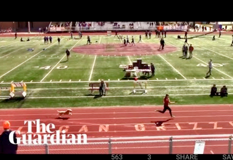 Dog enters high school foot race — wins — warning: might be too exciting for you to watch