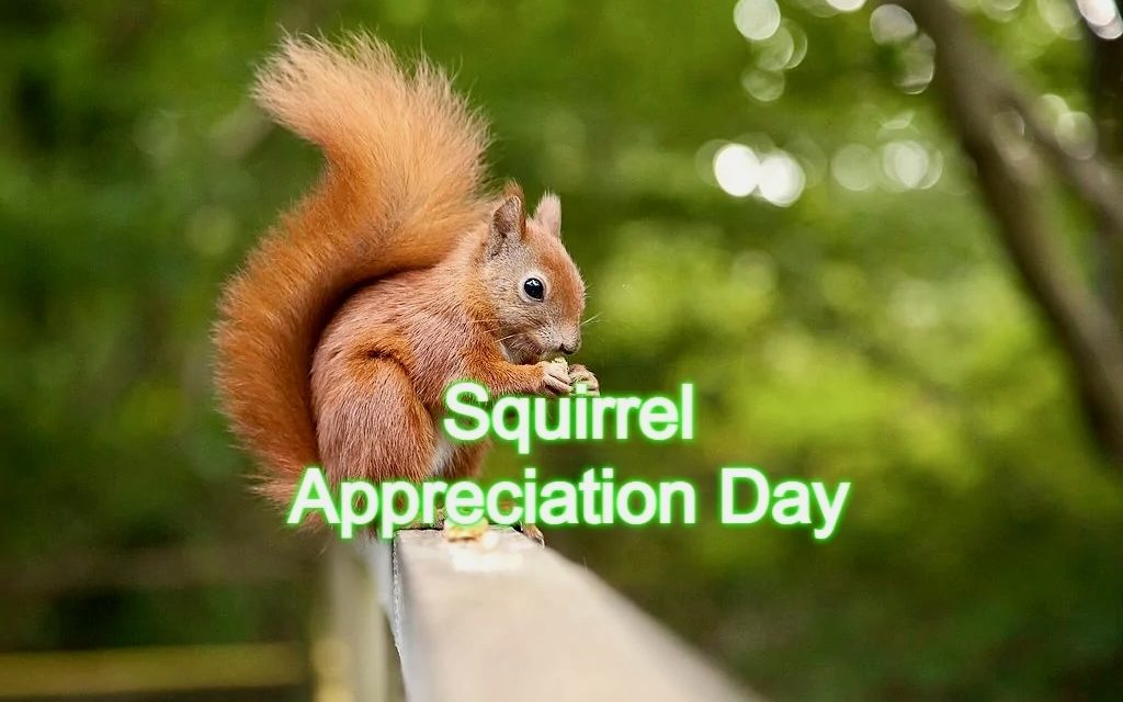 Squirrel Appreciation Day — Friday, January 21
