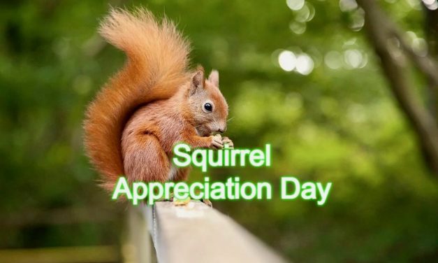 Squirrel Appreciation Day — Friday, January 21