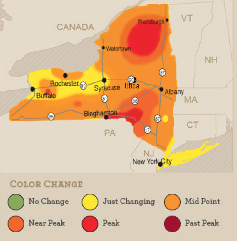 Breaking news from New York — governor’s office begins Fall Foliage Report this year