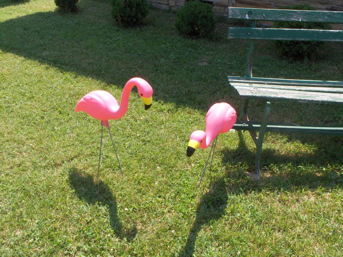 Plastic Pink Flamingo’s creator passes away