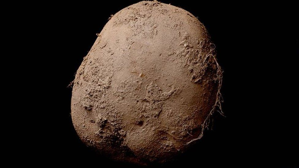 Photograph of potato — sells for £750,000