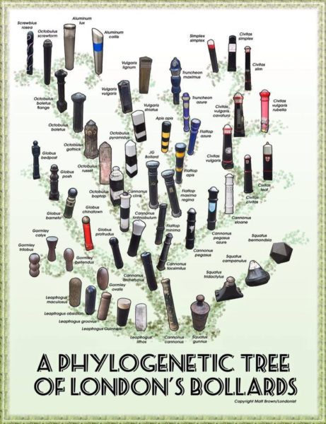 London’s Bollards — Phylogenetic Tree