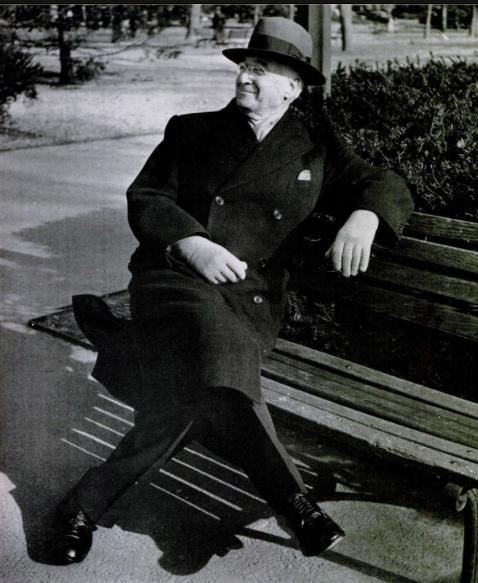 “The Park Bench Statesman” – posting for 2 appreciation societies: PLAQUES and PARK BENCHES