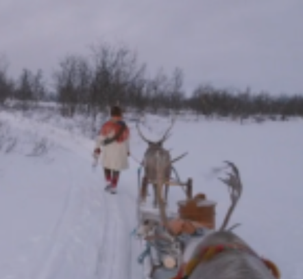 “The Sleigh Ride” – Slow TV