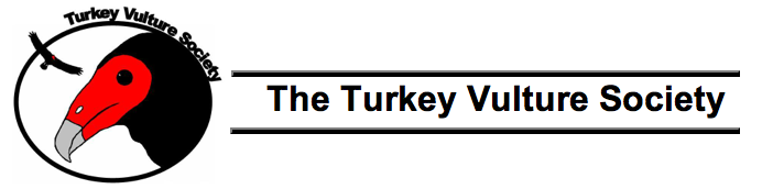 Turkey Vulture Society