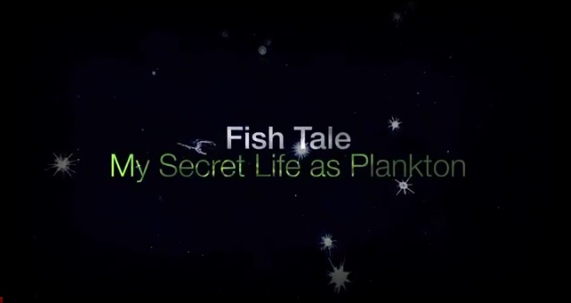 Secret Life of Plankton