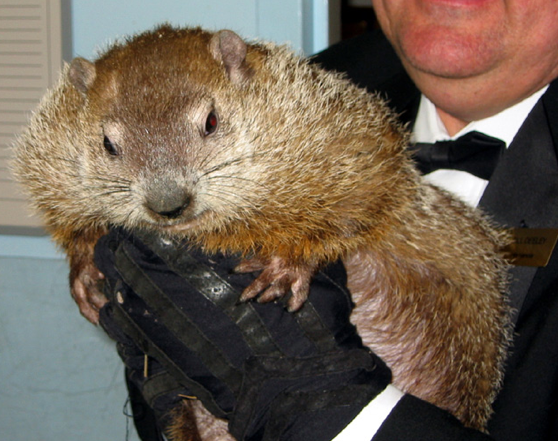 Groundhog Day — what's the point?