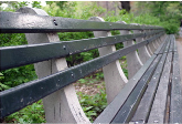 Central Park's Park Benches