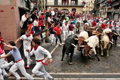 Running of the Sheep — instead of the Bulls?
